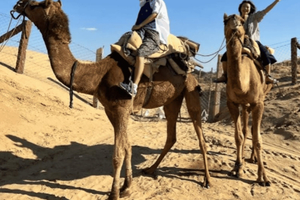 Jodhpur : Safari à dos de chameau et en jeep dans le désert avec cuisine traditionnelle