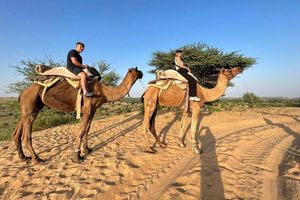 Jodhpur : safari en jeep, balade à dos de chameau, dîner buffet et danse folklorique