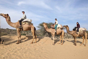 Jodhpur : Nuit dans le désert avec safari à dos de chameau