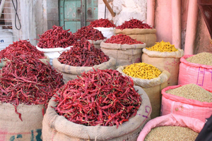Jodhpur: maustetori ja kasvisruokakierros