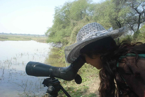 Entradas y tour guiado por el Parque Nacional Keoladeo