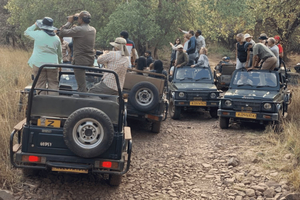 New Delhi: Jim Corbett National Park Safari (Tiger) Spotting