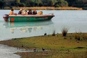 Safari in barca tra i coccodrilli a Palighat Chambal