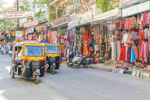 Udaipur: Shopping Tour of Bazaars & Local Artisan Workshops