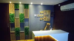 Soul Wellness Spa