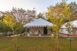 Tiger Woods Ranthambhore
