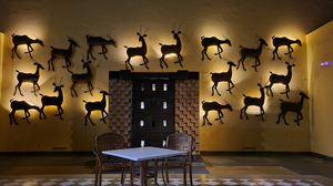 WelcomCafe Chinkara