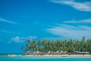 From Recife : Carneiros Beach