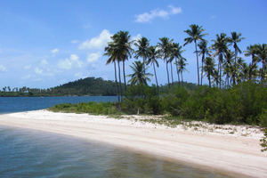 Recife: Tour to Carneiros with Catamaran Ride