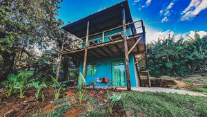 Flat Noronha Dreams