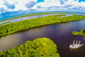 Manaus: Excursão de 1 dia no Rio Amazonas