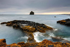 From Reykjavik - Blue Lagoon and Reykjanes Peninsula Tour