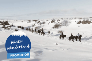 From Reykjavík: Icelandic Horse Riding Tour in Lava Fields