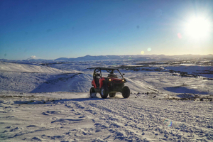 Ab Buggy-Abenteuer & Wal-Beobachtung