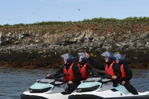 Guided Puffin Island Jet Ski Tour
