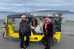 Private Reykjavík Tuk Tuk Tour