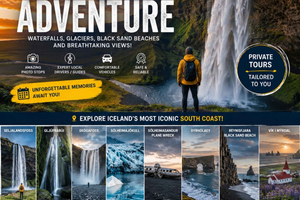 Excursão Particular pela Costa Sul saindo de Reykjavík ou Keflavík
