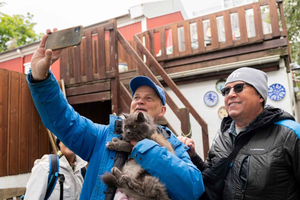 Reykjavik: Feline-Focused City Walking Tour