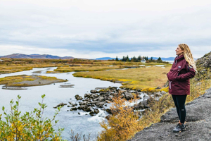 Reykjavik: Circuito Dourado, Kerid e Fridheimar Excursão de Minibus