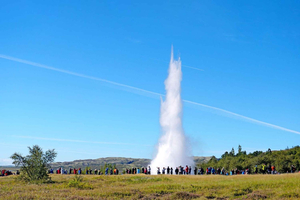 Reykjavik: Golden Circle, Silfra Snorkeling, and Farm Lunch