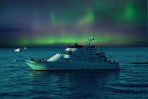 Reykjavik: Nordlicht Yacht Tour