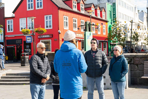 Reykjavik: Private City and Folklore Walking Tour