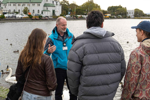 Reykjavik: Private Literature Walking Tour with Guide