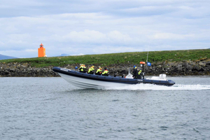 Reykjavik: Puffin Watching Tour by RIB Speedboat