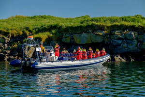 Reykjavik: Tour zur Papageientaucher-Beobachtung