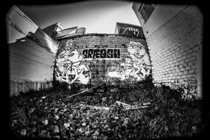 Reykjavik Street Art Backstreets and Stories