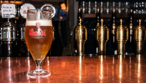 The Craft Beer Revolution!
