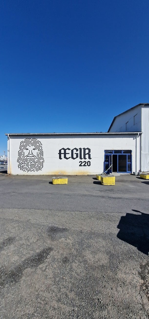 ÆGIR 220