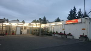 Summerday guesthouse