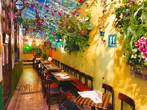 Jungle Garden Pub