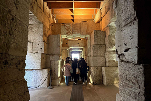 Colosseum Underground with Forum + Palatine Hill Tour