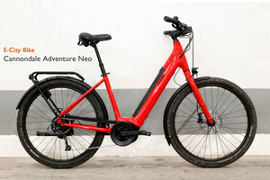 E-Bike Rental with Helmet and U-Lock