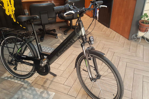 Electric Bike Rental