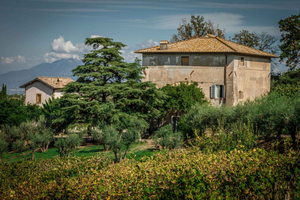 Frascati: Halbtagestour Wein