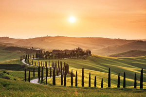 From Rome - 2-Day Private Tuscany Tour with Farm Stay
