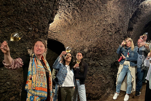 Von Rom aus: Frascati Wein Tour mit Mittagessen und Weinberg Tour