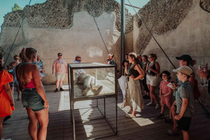 From Rome - Pompeii & Vesuvius Guided Excursion by Train