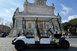 Golf Cart City Tour