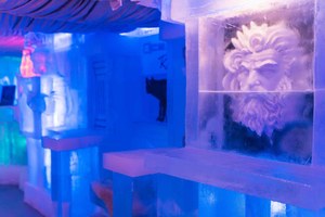Adgangsbillet til Ice Club Roma