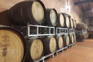 Luxury Frascati Wine & Food Tour at Historic Castle