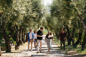 Rome Countryside: Wine Tasting Tour with Private Driver