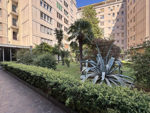 Didavi Guest House