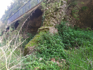 Lgt Testaccio