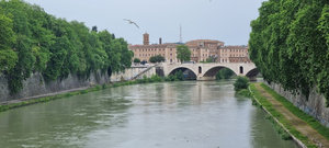 Lungotevere Ripa 6 - «hotel»