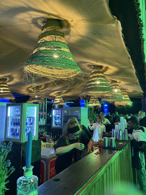 Venus club