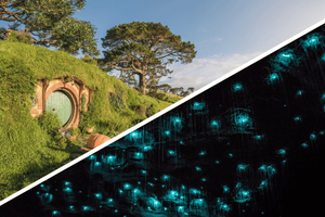 Auckland : Hobbiton, grottes de Waitomo et Rotorua, excursion aller simple